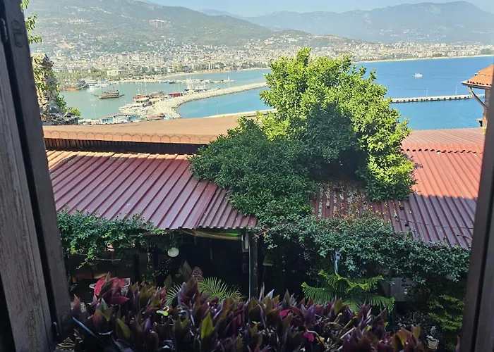 호텔 Harmony Butik (adults Only) 알란야