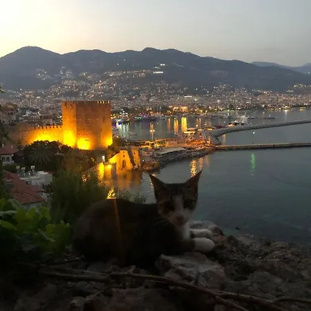 Harmony Butik 2* Alanya