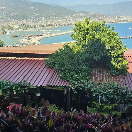 Szálloda Harmony Butik Alanya