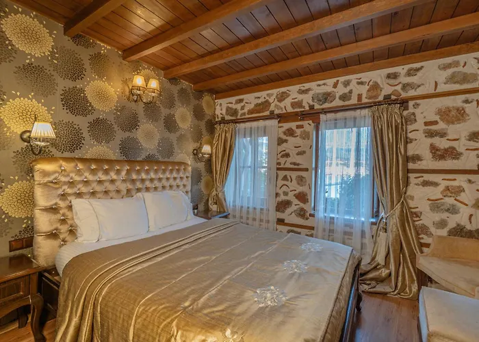 酒店 Harmony Butik (adults Only) 2*