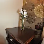 Harmony Butik (adults Only) 阿拉尼亚